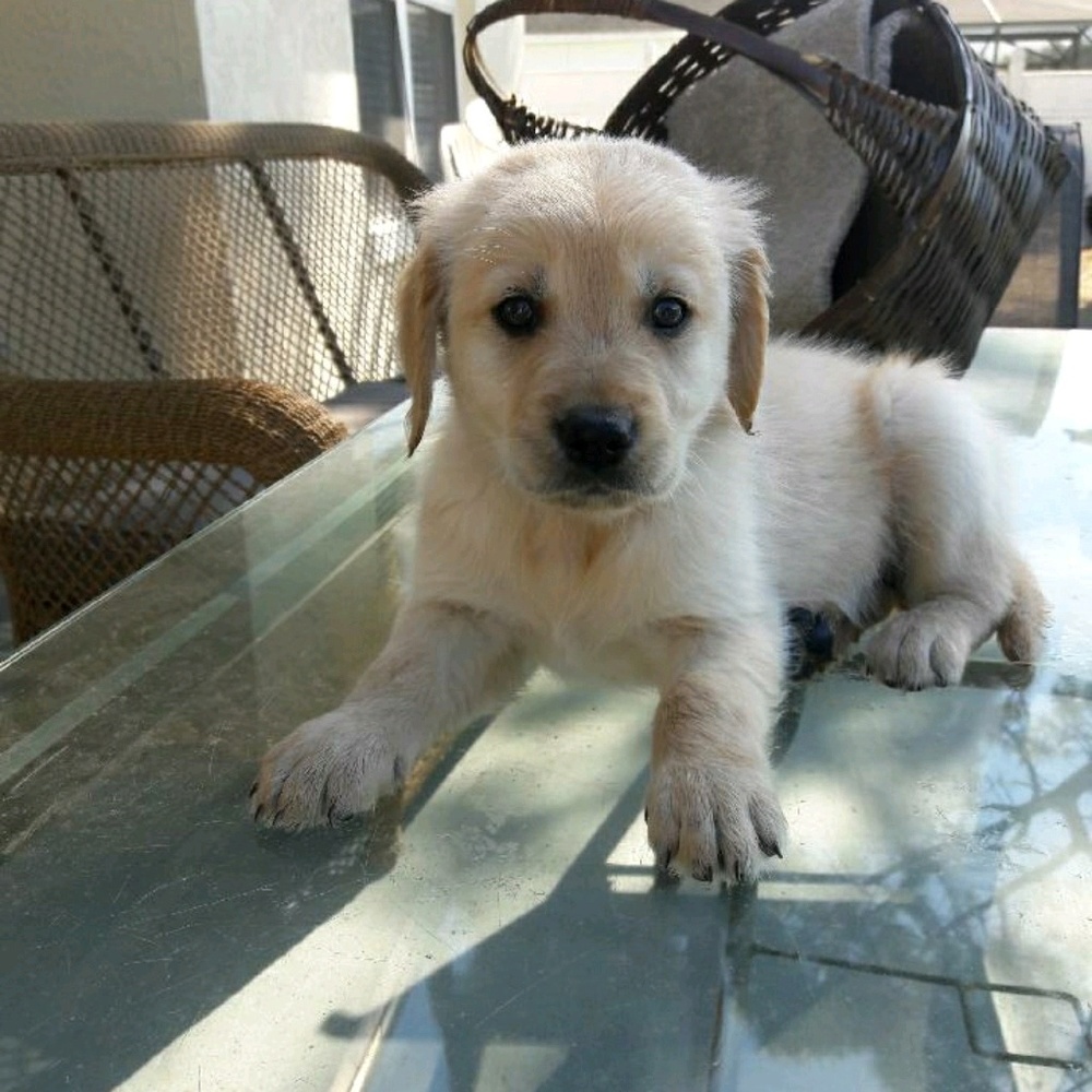 Meet your Posher, Mimi